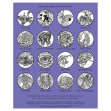 Usborne Bugs Magic Painting Activity Book by Abigail Wheatley