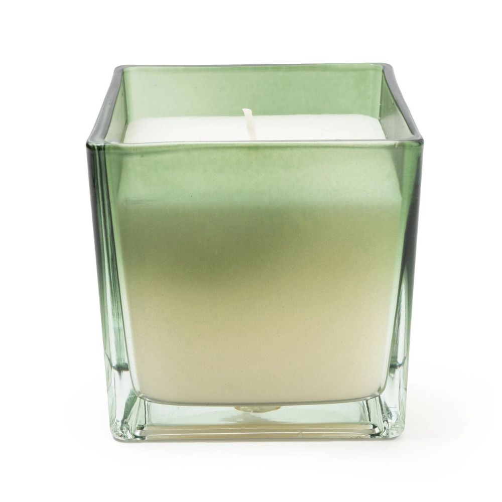 Candlelight Home Fig & Apple Medium Glass Candle - Green Ombre