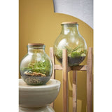 Mica Decorations 25cm Glass Olly Terrarium Ball Vase