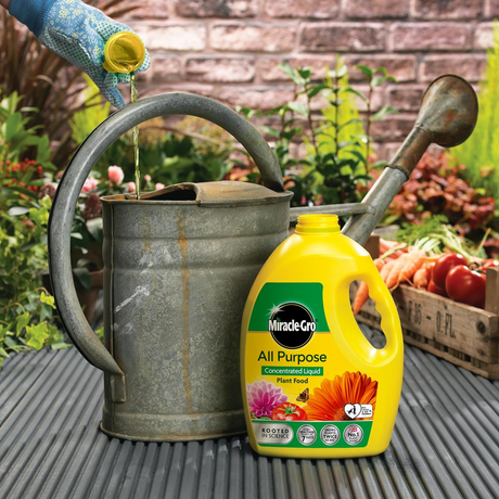 Miracle-Gro 2.5L All Purpose Concentrated Liquid Plant Food