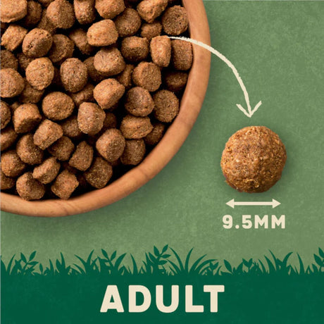 Harringtons 1.7kg Chicken & Rice Adult Dry Dog Food