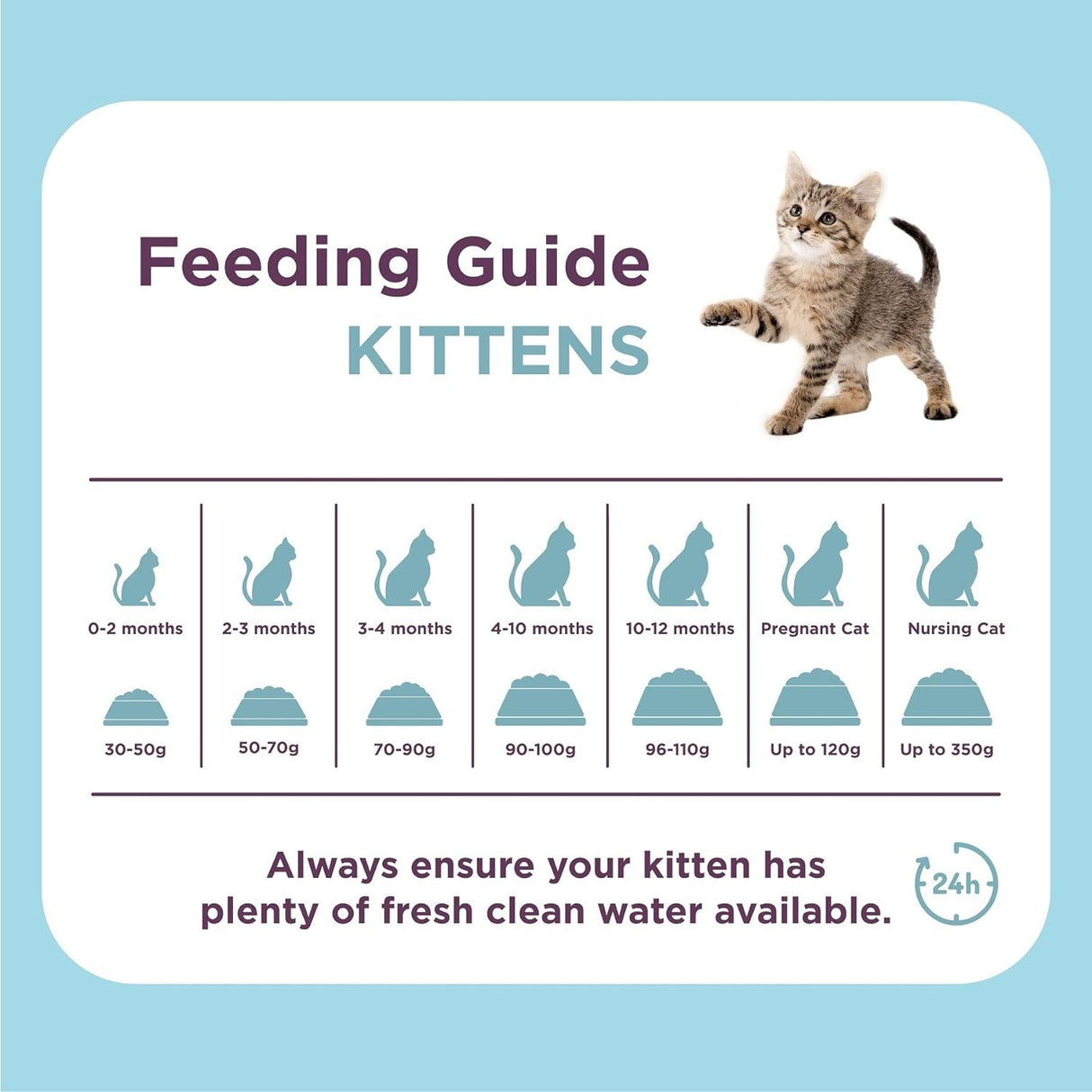 Burgess 1.5kg Kitten Chicken Cat Food