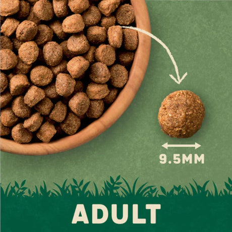 Harringtons 1.7kg Chicken & Rice Adult Light Dog Food