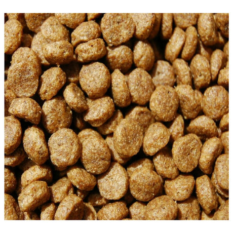 Dr. John 10kg Puppy Food