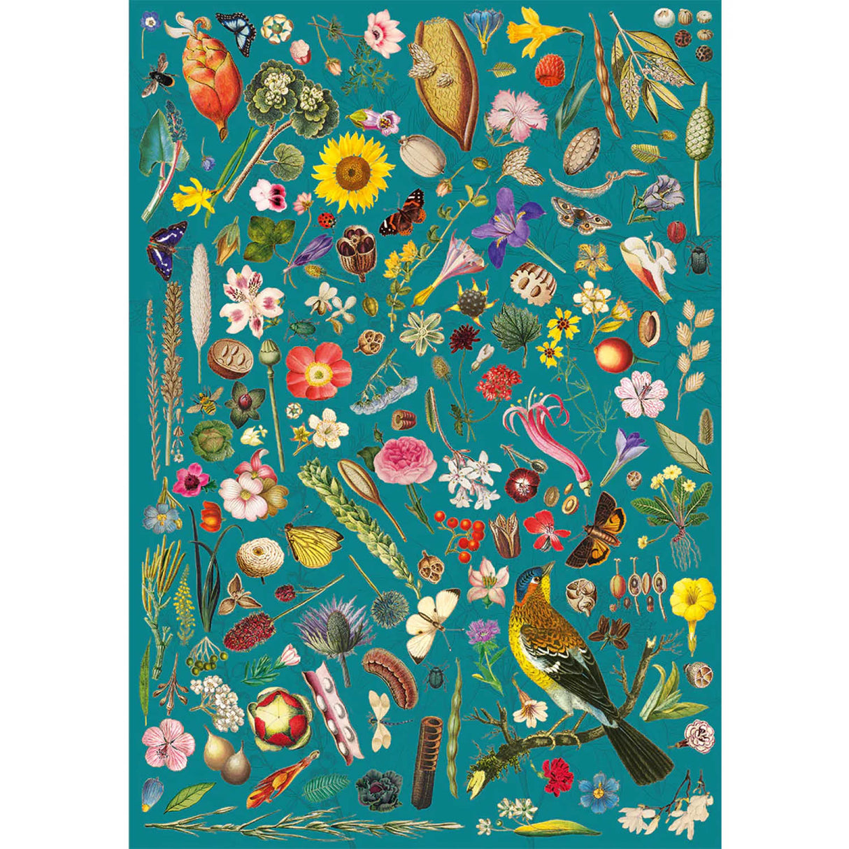 Gibsons Games 500 Piece RHS Floral Fantasy Jigsaw Puzzle