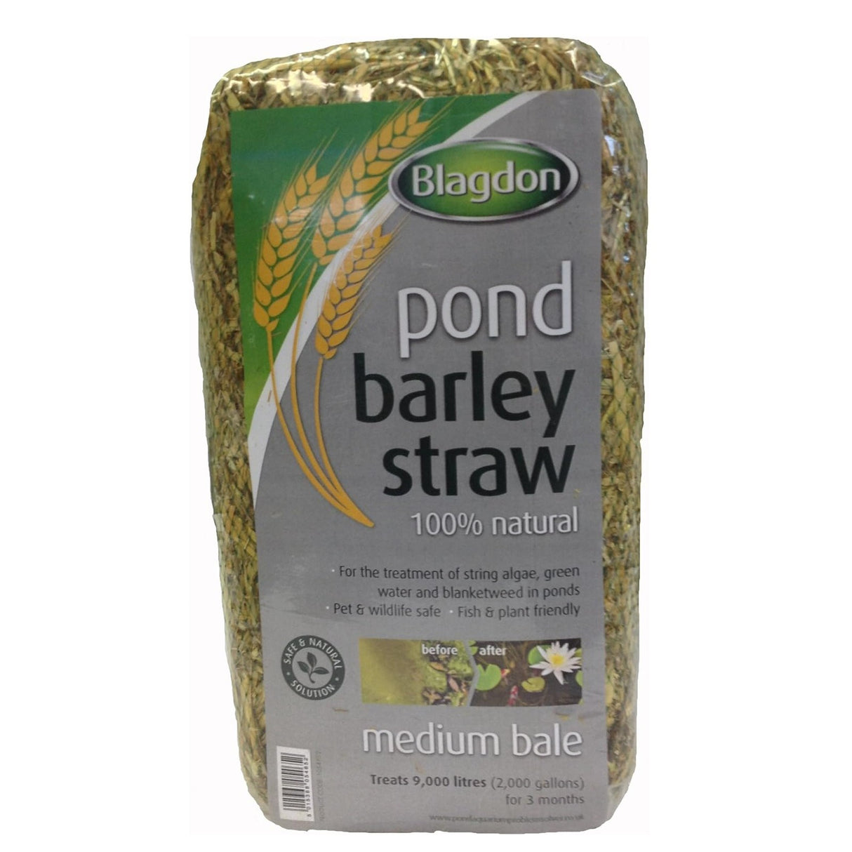 Blagdon Barley Straw Medium Bale