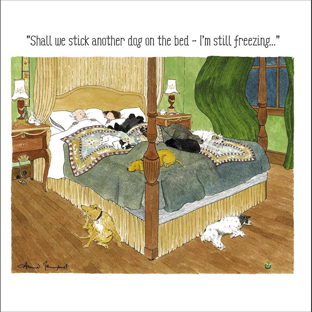 Woodmansterne Bed Warmers Dogs Funny Blank Card