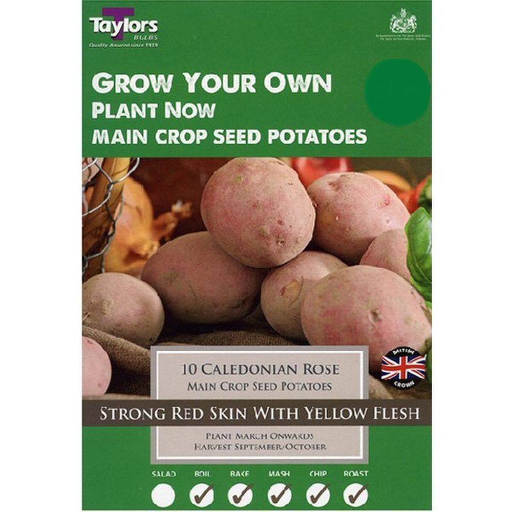 Taylors 10 Caledonian Rose Main Crop Seed Potatoes