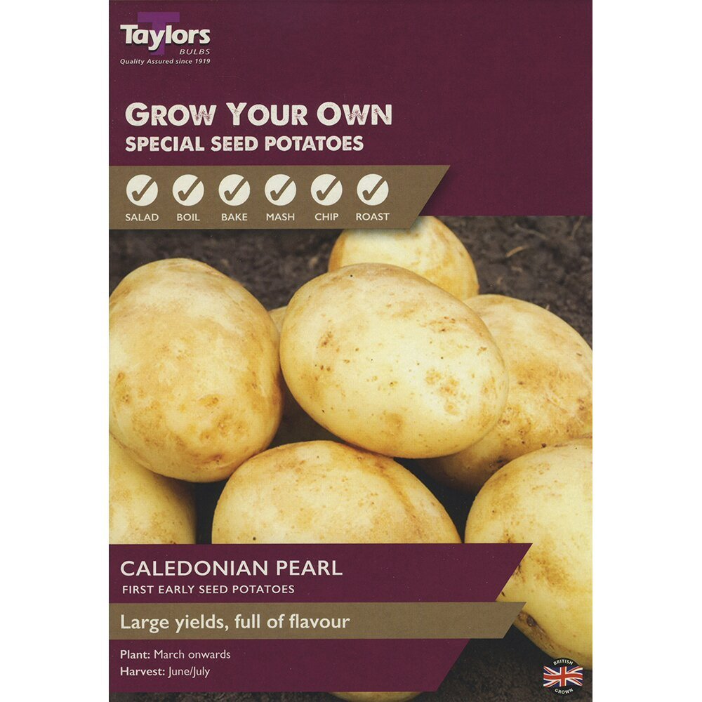 Taylors 10 Caledonian Pearl First Early Seed Potatoes