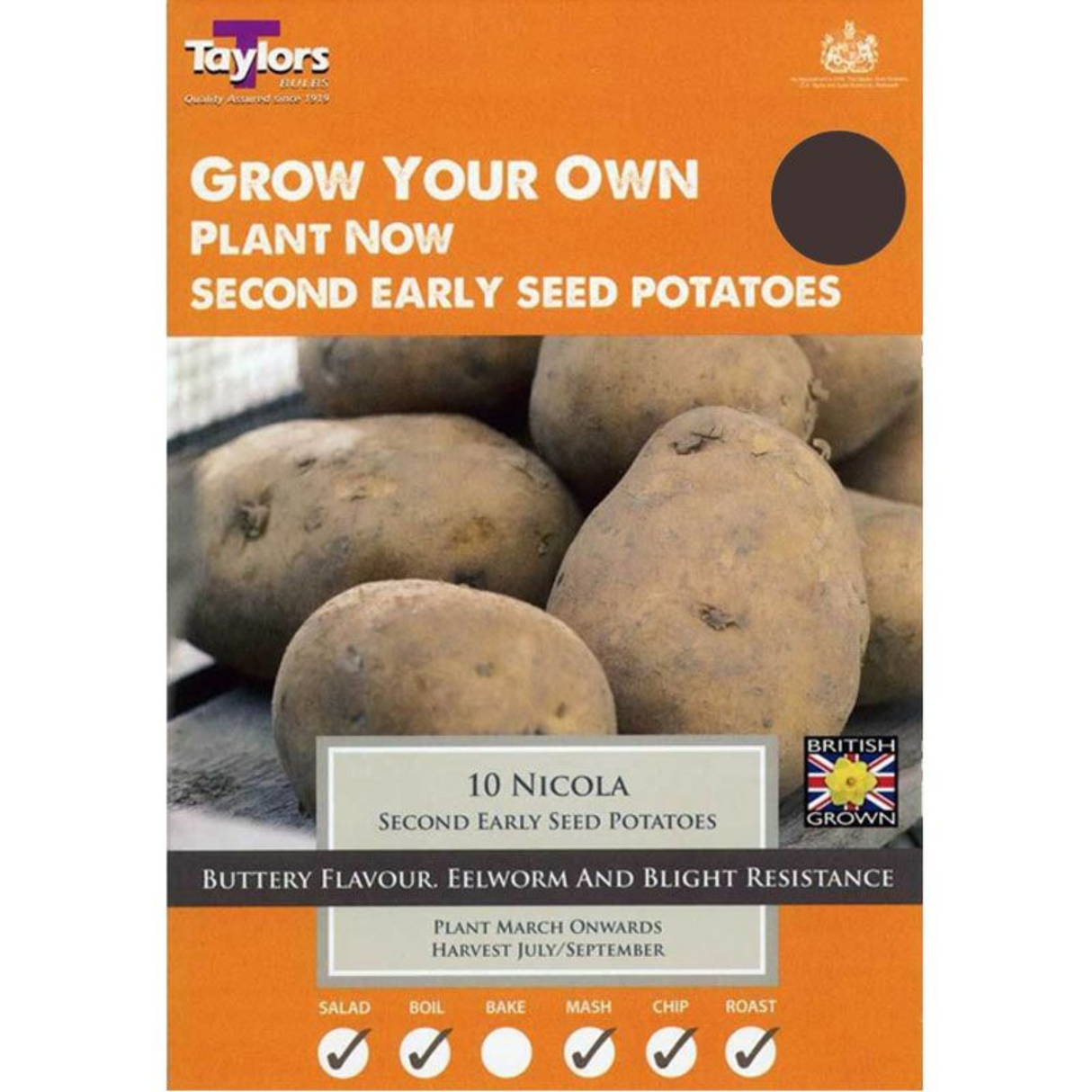 Taylors 10 Nicola Second Early Seed Potatoes