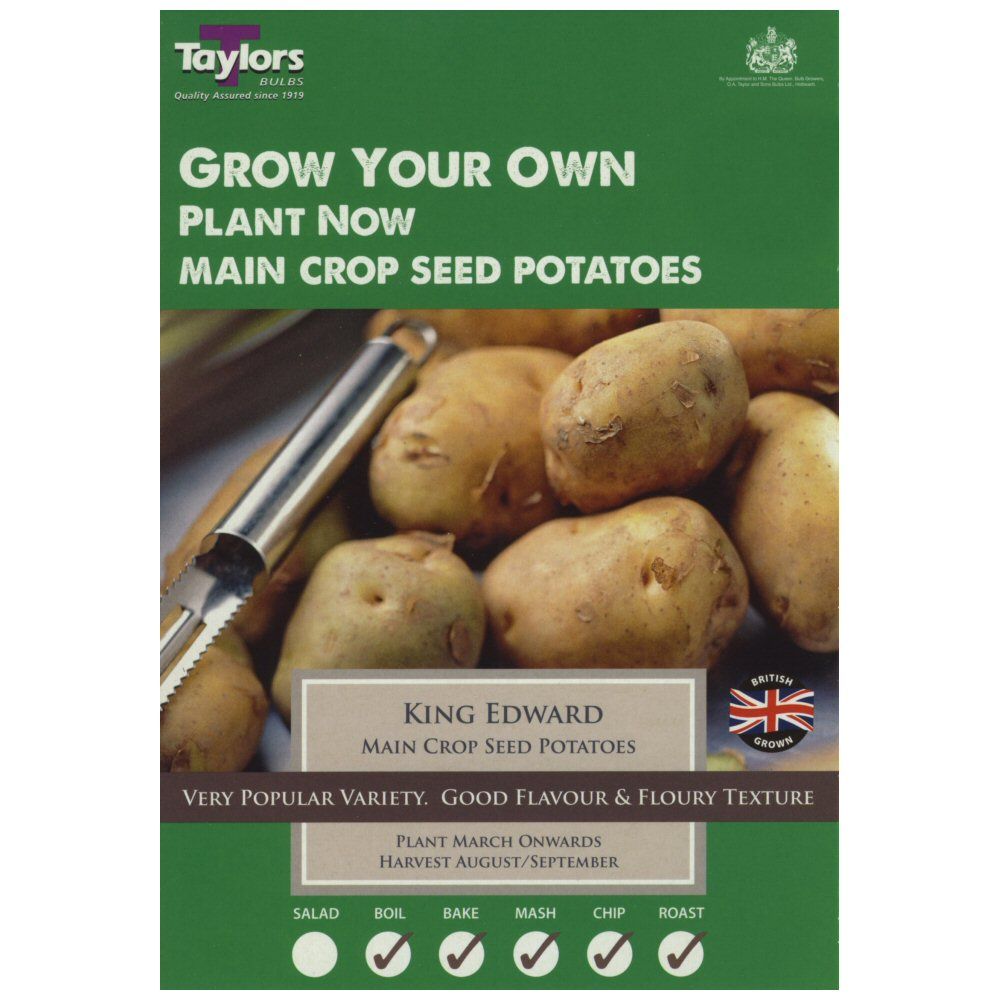 Taylors 10 King Edward Main Crop Seed Potatoes