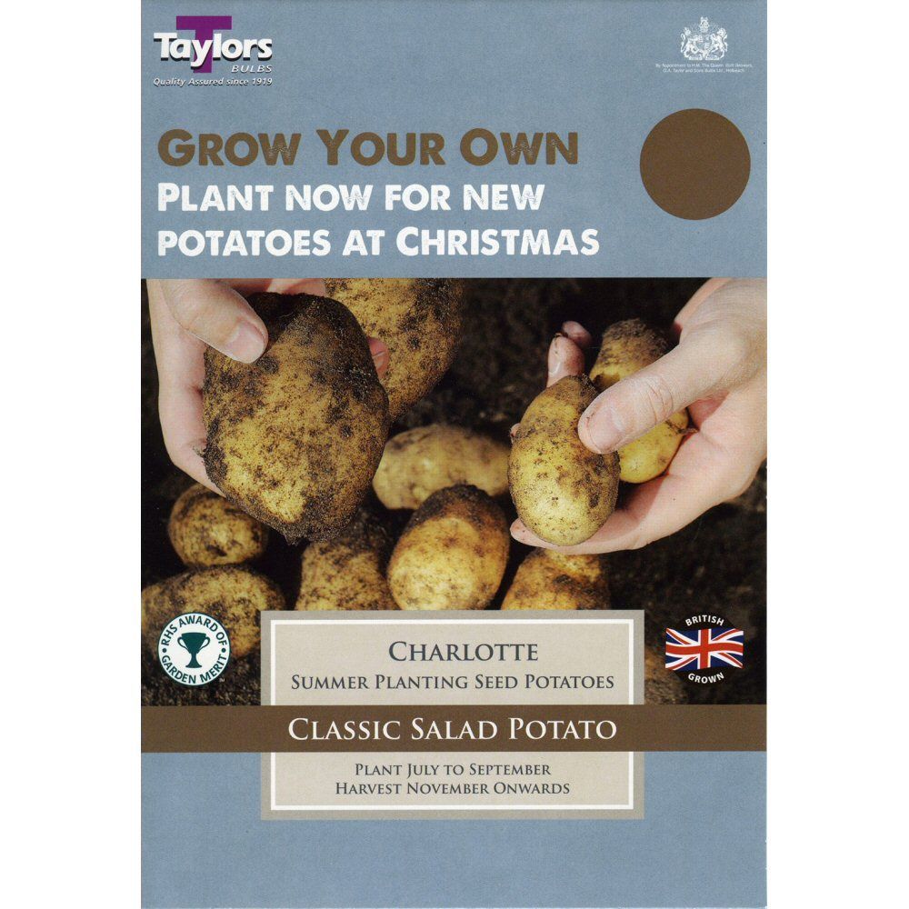 Taylors 9 Charlotte Summer Planting Seed Potatoes