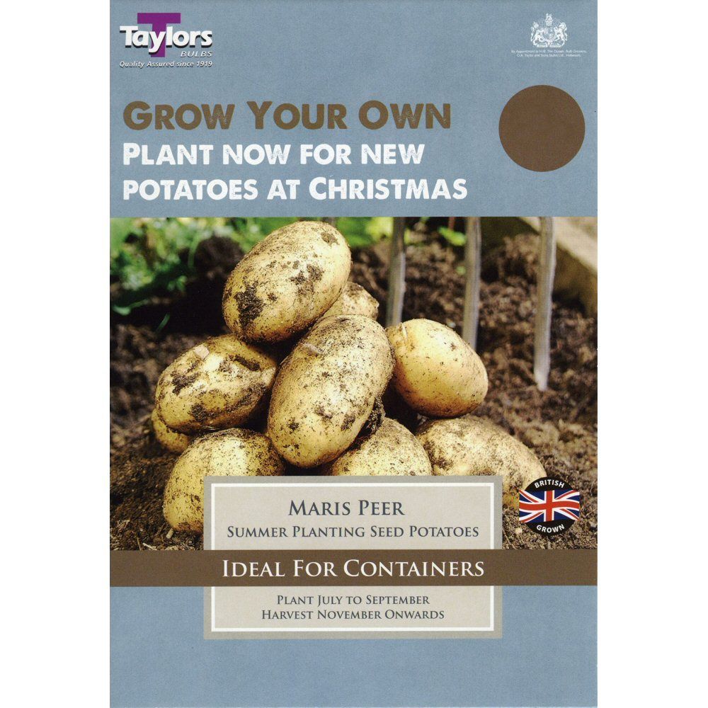 Taylors 9 Maris Peer Summer Planting Seed Potatoes