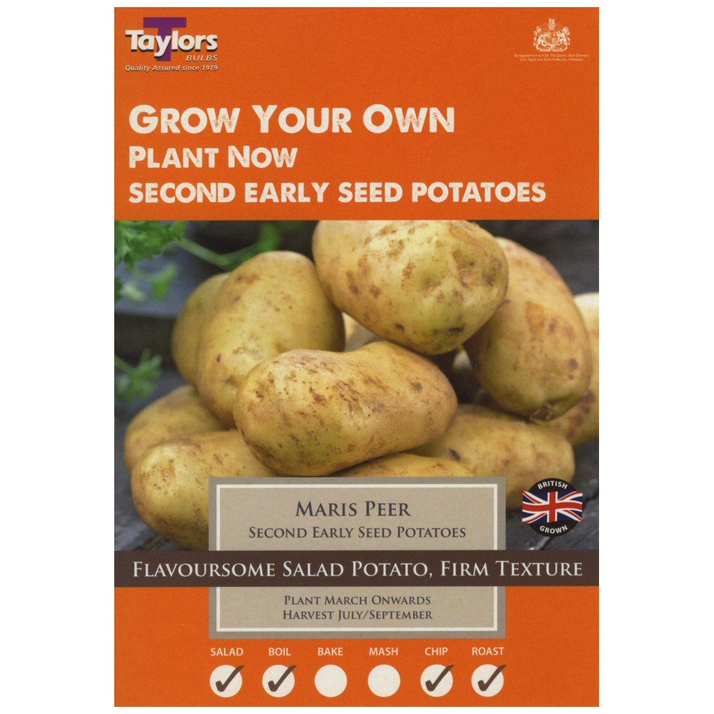Taylors 10 Maris Peer Second Early Seed Potatoes
