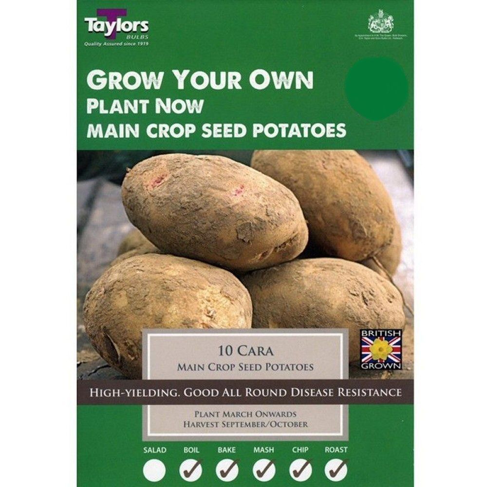 Taylors 10 Cara Main Crop Seed Potatoes