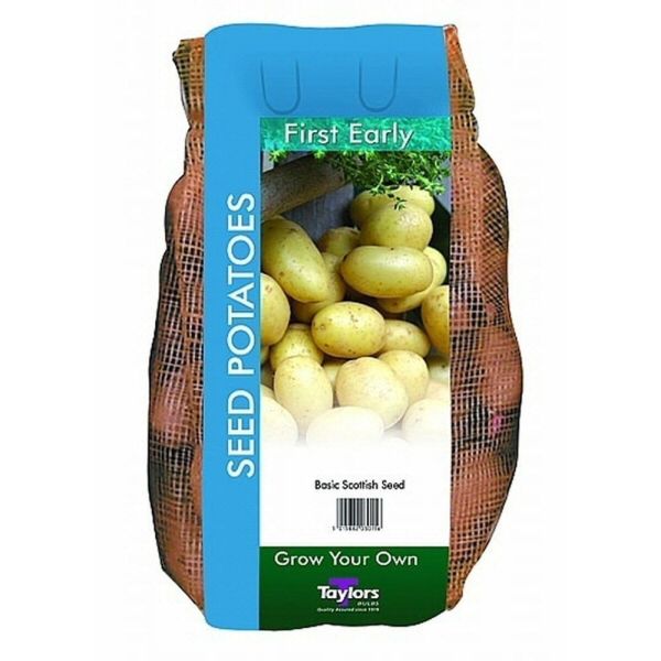 Taylors 2kg Foremost First Early Seed Potatoes