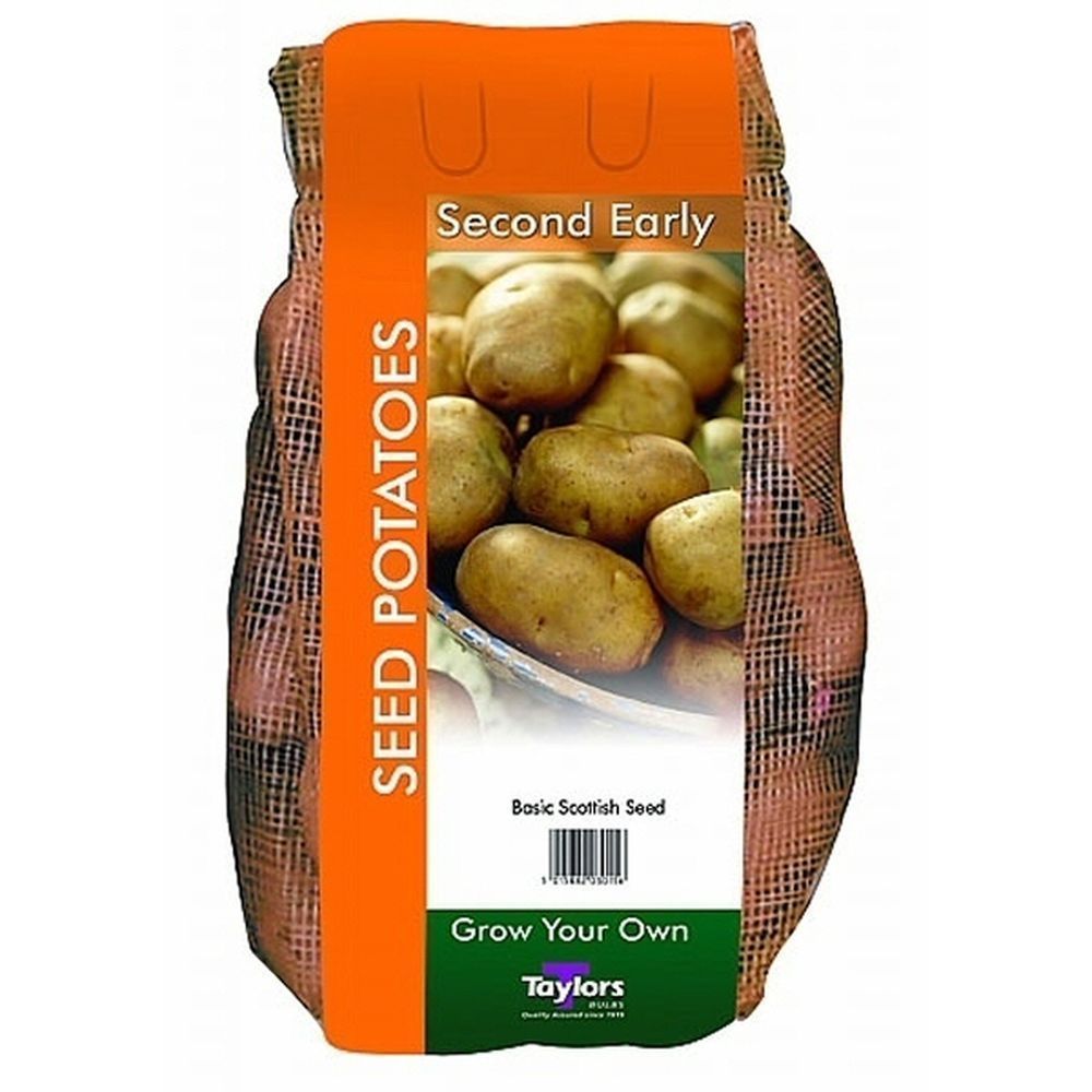 Taylors 2kg Wilja Second Early Seed Potatoes