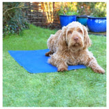 Ancol Large Cooling Dog Mat