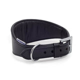 Ancol 34-43cm Black Padded Leather Greyhound Collar