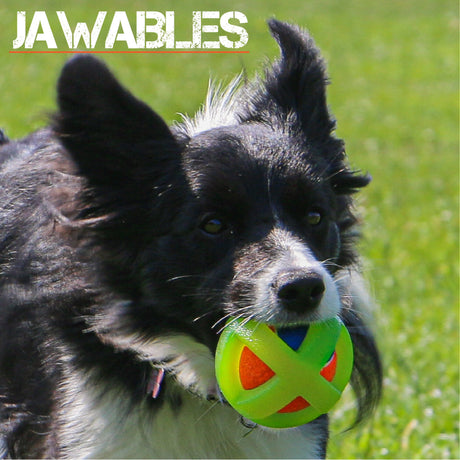 Ancol Jawables Framed Tennis Ball Dog Toy