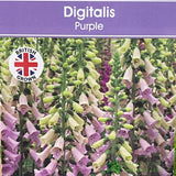Digitalis purpurea 'Dalmatian Purple' Foxglove 1Ltr Pot