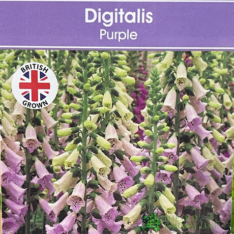 Digitalis purpurea 'Dalmatian Purple' Foxglove 1Ltr Pot