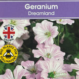 Geranium Dreamland 'Bremdream' Plant 1Ltr Pot