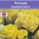 Primula vulgaris 'Rosebud Light Yellow' English Primrose Plant 2Ltr Pot