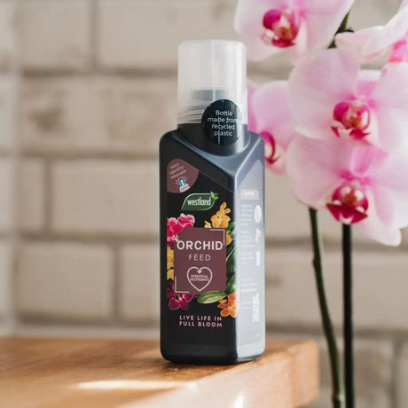 Westland 200ml Orchid Concentrate Plant Food