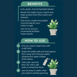 Westland 250ml Houseplant Mist & Leaf Shine Spray