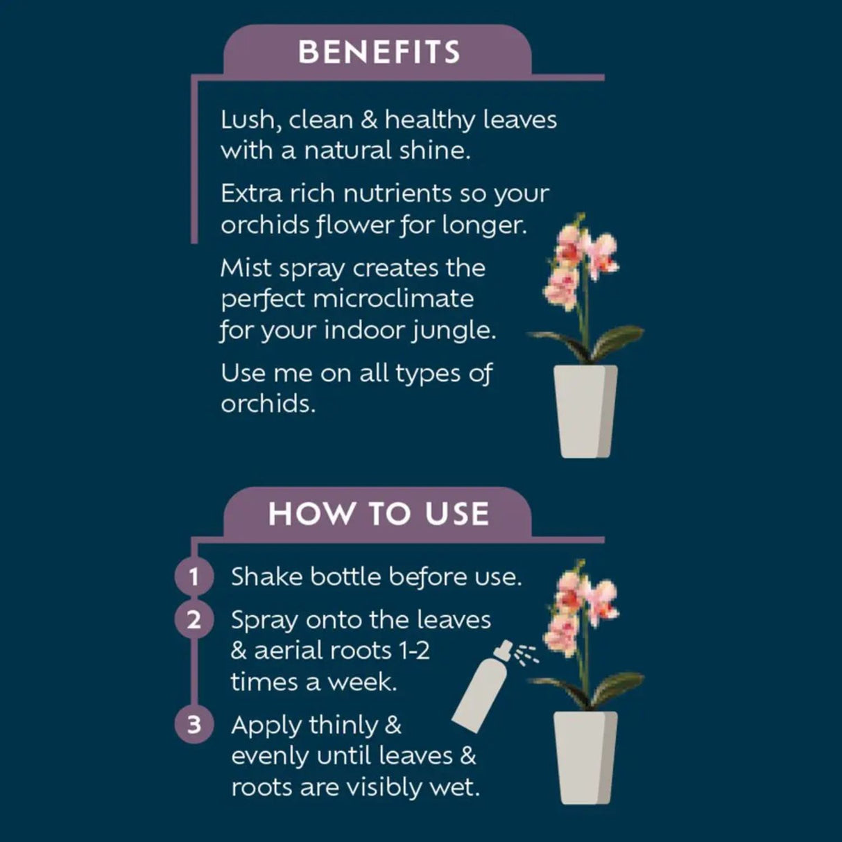 Westland 250ml Orchid Mist