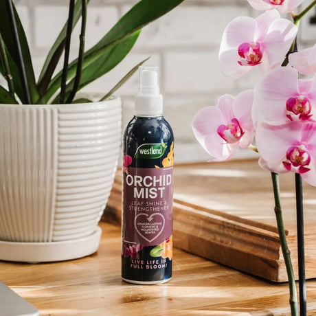 Westland 250ml Orchid Mist Plant Food