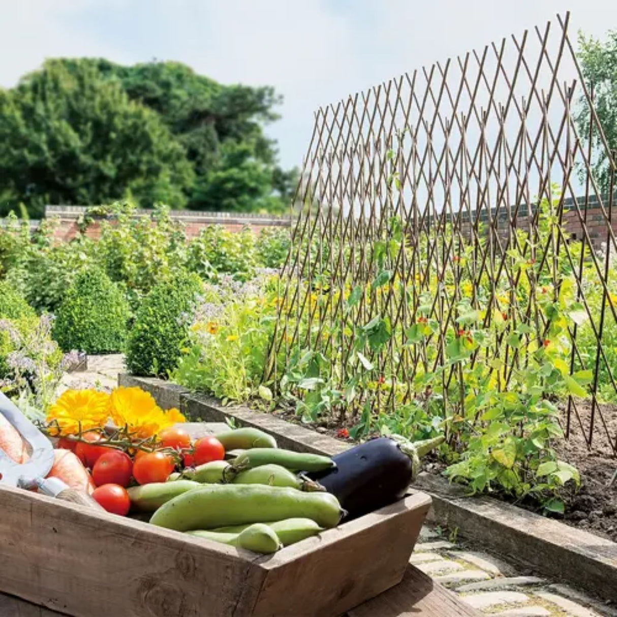 Gardman 60cm Bamboo Plant Support Canes (Pack of 20)