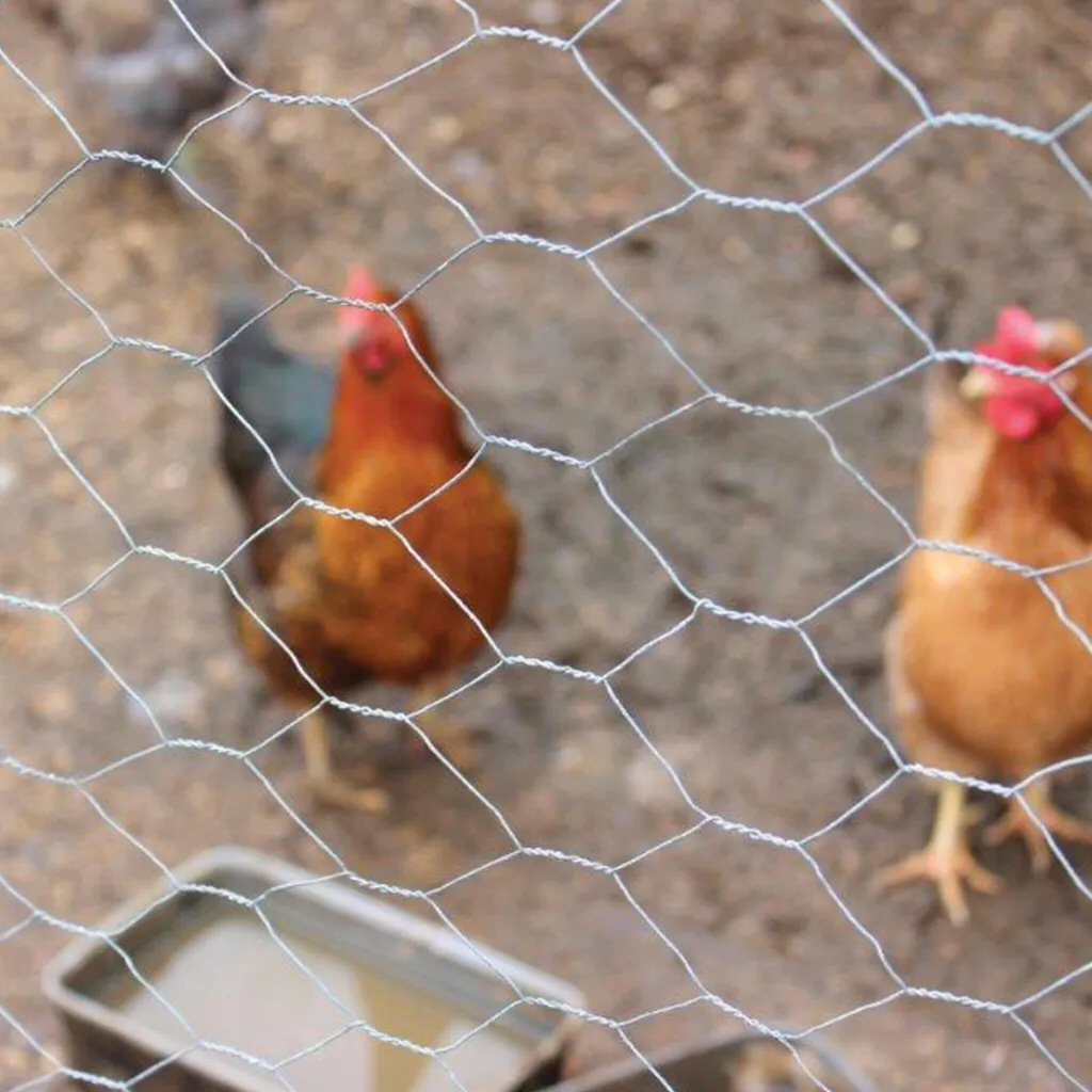 Gardman 25mm Galvanised Wire Netting (10m x 0.6m)