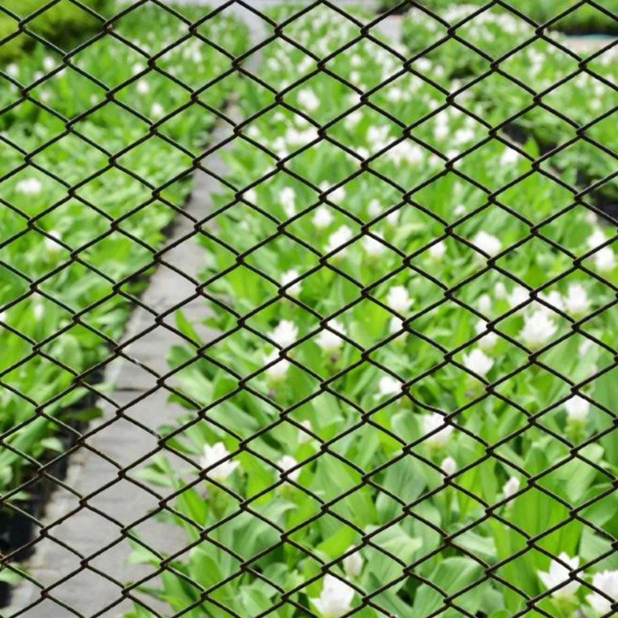 Gardman 50mm Galvanised Wire Netting (10m x 0.6m)