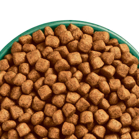 James Wellbeloved 1.5kg Turkey Adult Oral Dry Cat Food