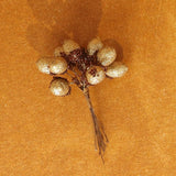 Gisela Graham 11cm Gold Glitter Acorn Pick