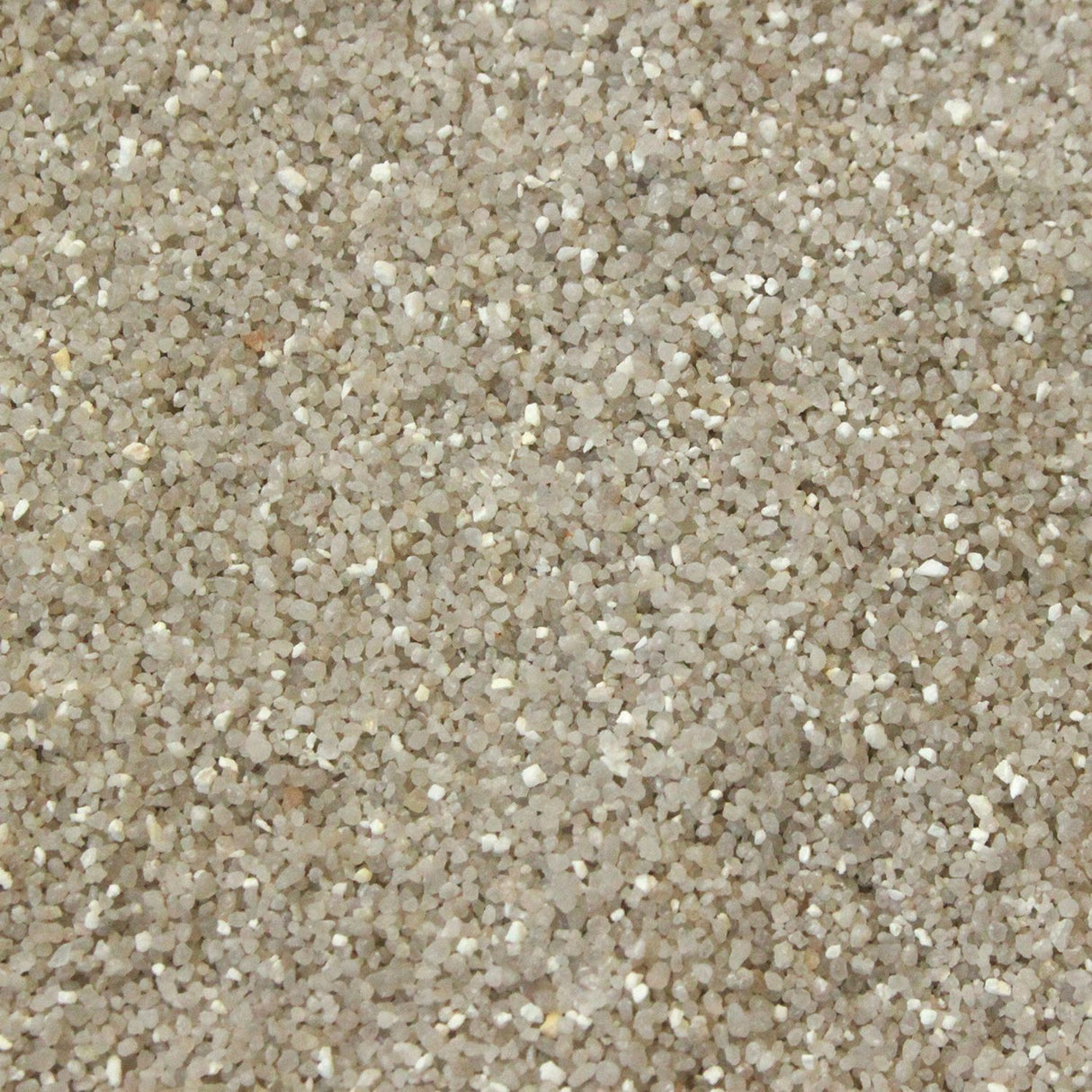 Betta Choice 5kg Sliver Sand