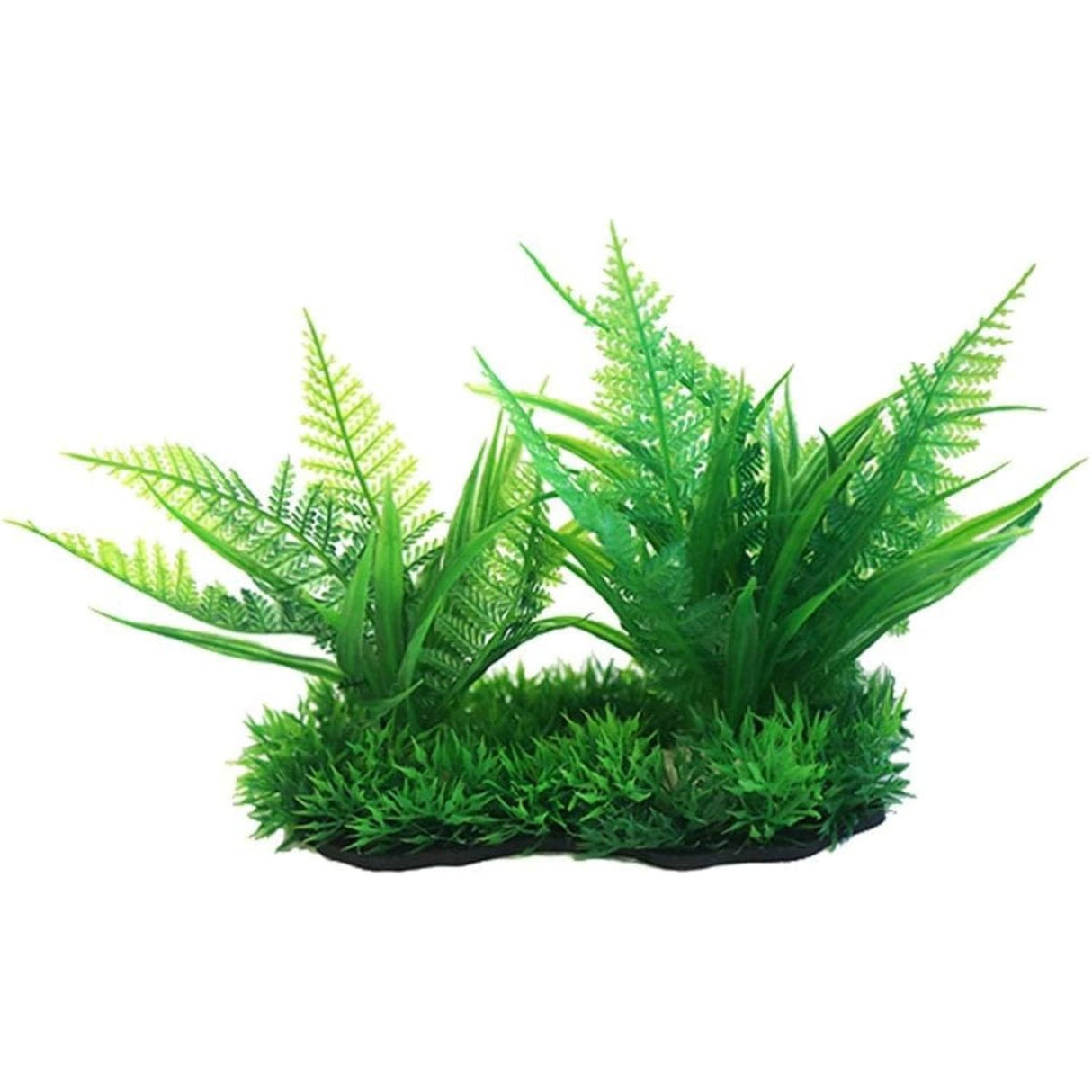 Betta Choice 15cm Green Foreground Plant