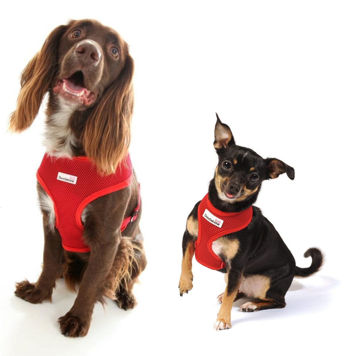 Doodlebone XS Airmesh Dog Harness Red