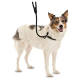 Company of Animals Training 3-in-1 Slip Lead Black