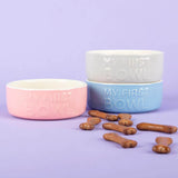 Scruffs My First 13cm Stonewar Bowl - Pink