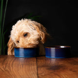 Scruffs Reactive Glaze 13cm  Bowl Midnight Blue