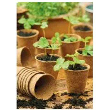 Gro-Sure Round Fibre Pots 8cm (12 Pack)
