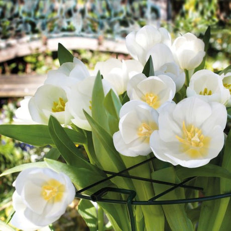 Gardman Grow It Plant Support Grid 75cm