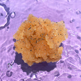 Bomb Cosmetics 365ml Kiwi & Lime Body Scrub