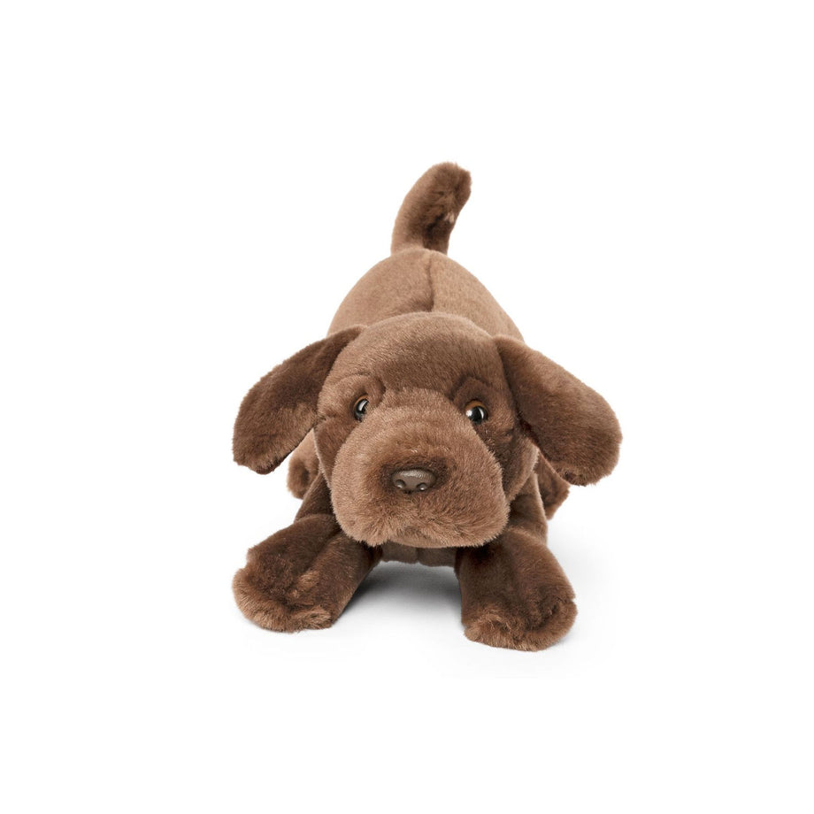 Chocolate labrador deals cuddly toy