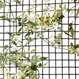Smart Garden 20mm Green Climbing Plant & Fencing Mesh (0.5m x 5m)