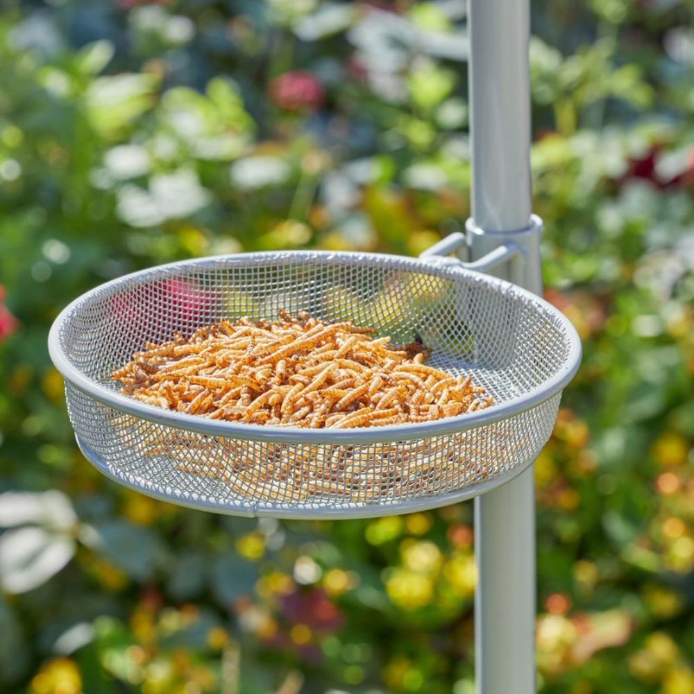 ChapelWood 240cm Wild Willow Complete Bird Feeding Station