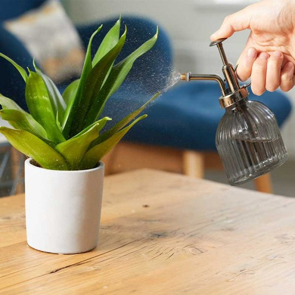 Smart Garden 250ml Plant Mister Bottle